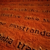 Quimera 04